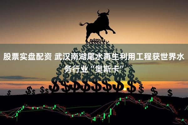 股票实盘配资 武汉南湖尾水再生利用工程获世界水务行业“奥斯卡”