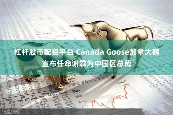 杠杆股市配资平台 Canada Goose加拿大鹅宣布任命谢霖为中国区总裁