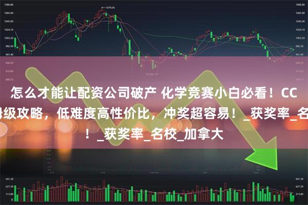 怎么才能让配资公司破产 化学竞赛小白必看！CCC 竞赛保姆级攻略，低难度高性价比，冲奖超容易！_获奖率_名校_加拿大